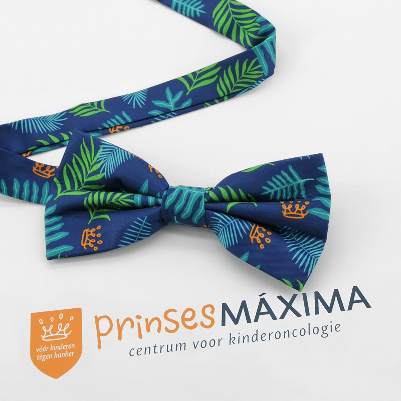 Prinses Maxima Ziekenhuis